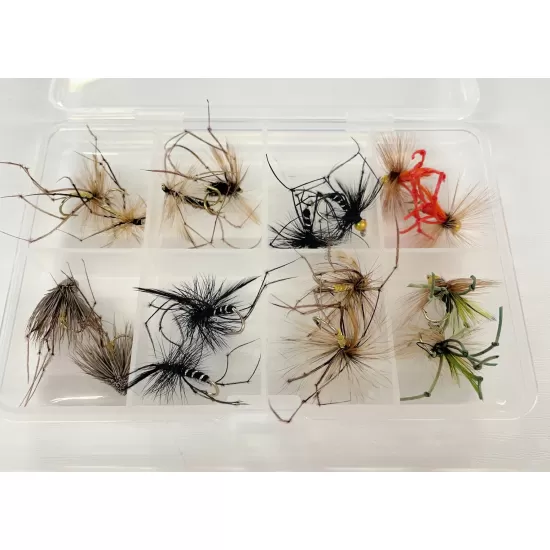 Comp Box - 16 Goldhead and Unweighted Daddies