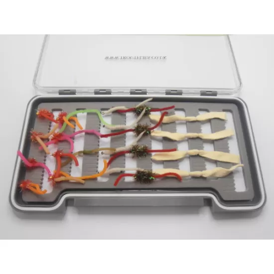 24 Worms inc Chamois  - Boxed Set