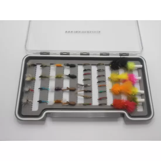 40 Boxed Summer Flies