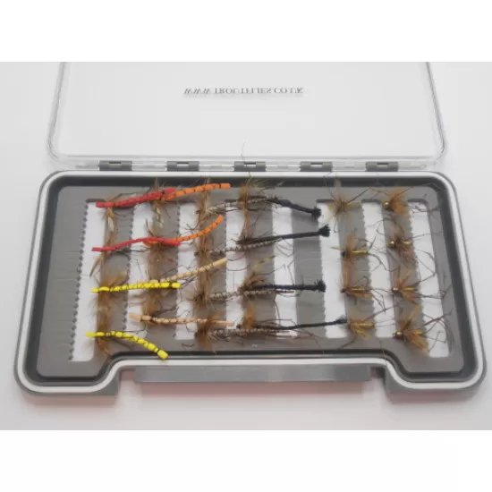 24 BARBLESS Boxed Daddys - Detached, Standard, Foam