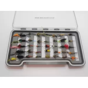 40 Boxed Mixed Goldhead Nymph