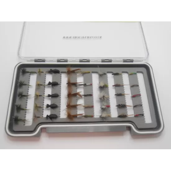 40 Summer Specials - Boxed Set