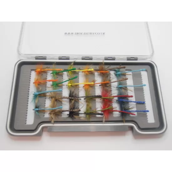 24 Boxed Dragon Flies