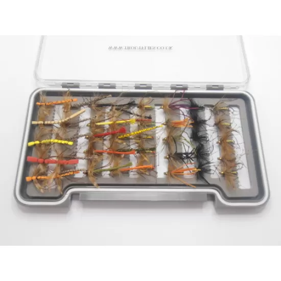 40 Daddys Boxed Sets (Coloured)