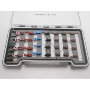 36 Beetle Patterns  - Boxed Set