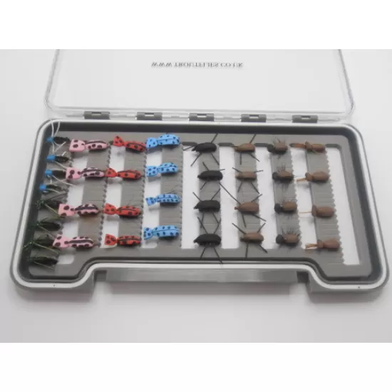 36 Beetle Patterns  - Boxed Set