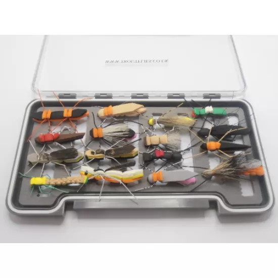 16 Foam Bugs, Boxed Set