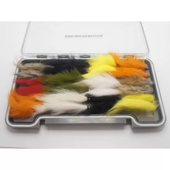 24 Zonkers - Boxed Set