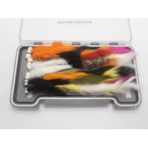 24 Bunny Leech and Zonkers - Boxed Set