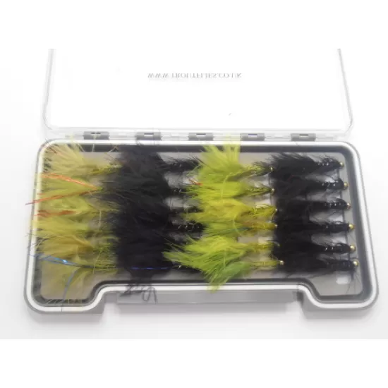 24 Flash Damsels Boxed Set (Blacks & Olives)