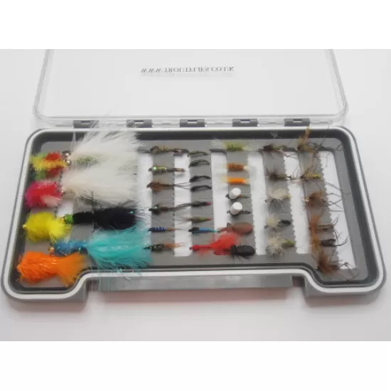 Vera's Beginners Box - 40 Mixed Flies
