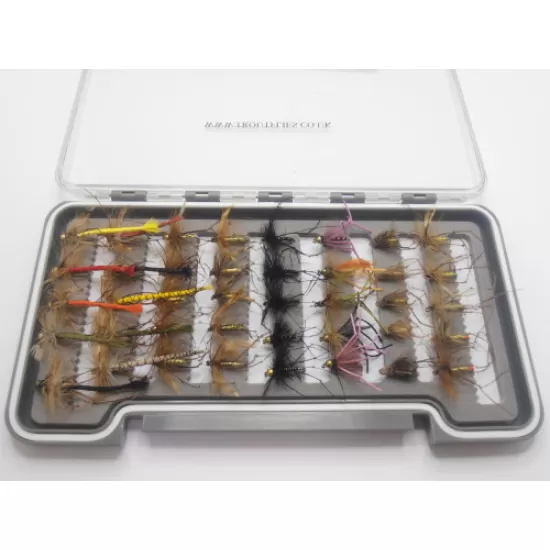 40 Boxed Set Daddy Long Legs