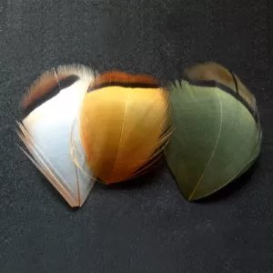 Partridge Hackles (Turrall)