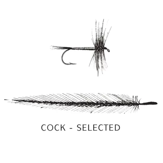 Select Cock Hackles