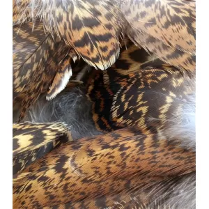 Grouse Hackles - Turrall