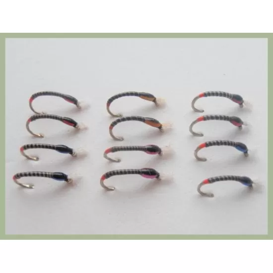 12 Epoxy Buzzer - Coloured Cheek