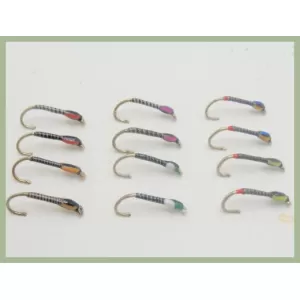 12 Barbless Quill Buzzers - Full Colour Range