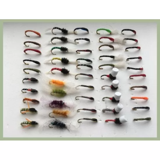 50  Buzzers Bumper Pack