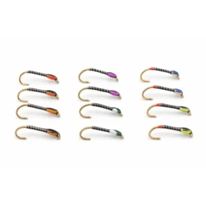 12 Barbless Quill Buzzers - Full Colour Range