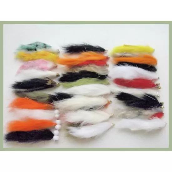 Bonkers for Zonkers - 30 Zonkers