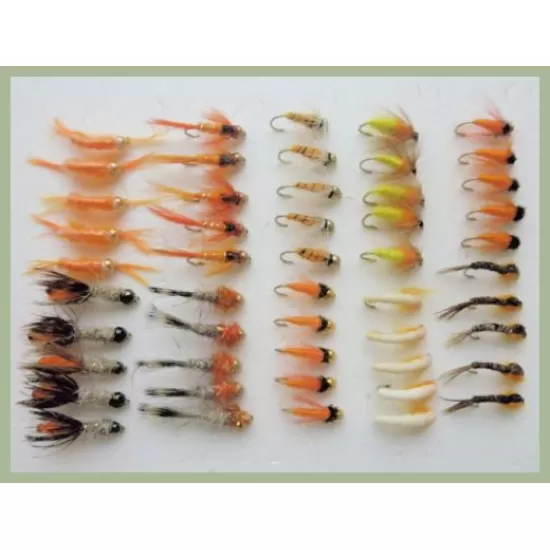 50 Zesty Orange Nymphs