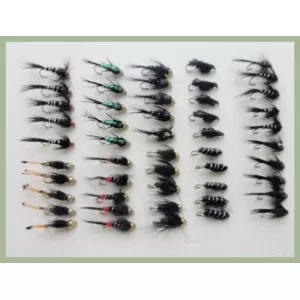 50 Brilliant Black Nymphs