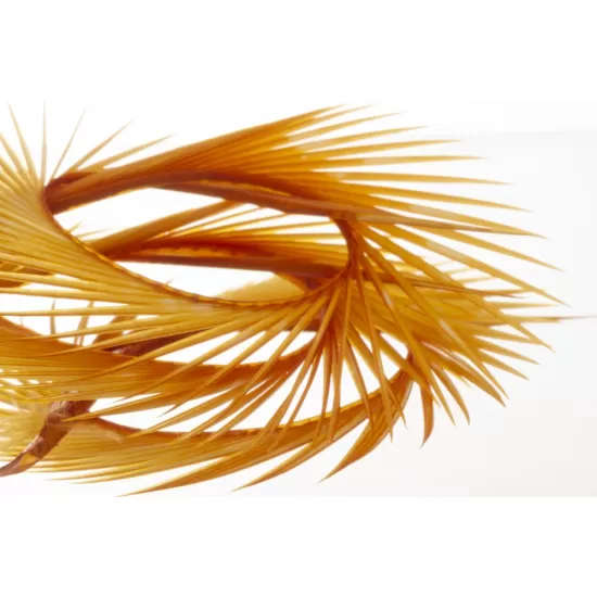 Semperfli Goose Biots