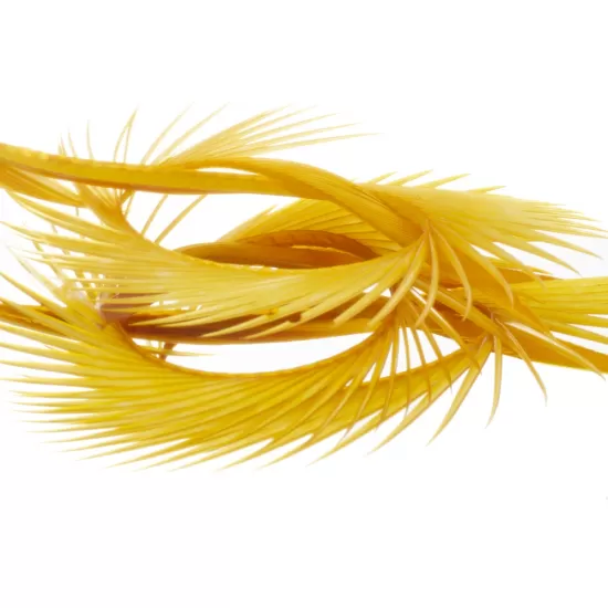 Semperfli Goose Biots