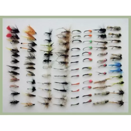 96 BARBLESS Fly Bumper Pack - Wets, Dries, Nymphs, Nymphs, Goldheads