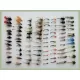 96 BARBLESS Fly Bumper Pack - Wets, Dries, Nymphs, Nymphs, Goldheads