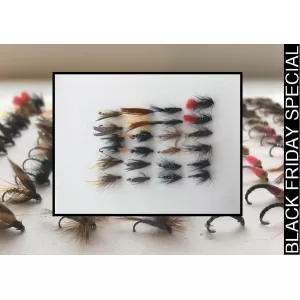24 BARBLESS Wet Fly Pack