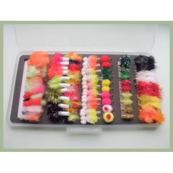 70 Eggs & Blobs (SLOT FOAM slimline box included)