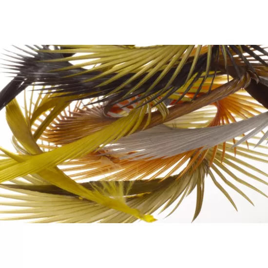 Semperfli Goose Biots