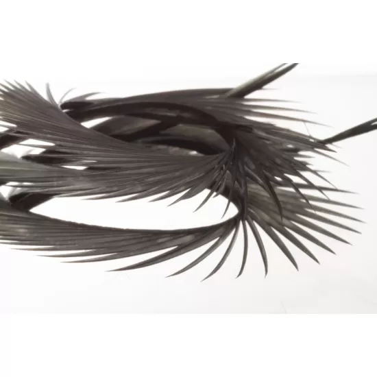 Semperfli Goose Biots