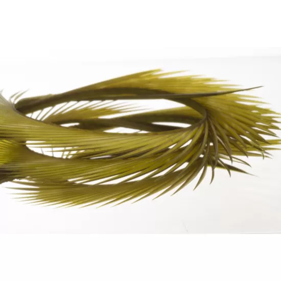 Semperfli Goose Biots