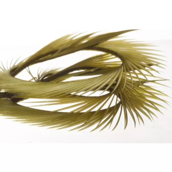 Semperfli Goose Biots