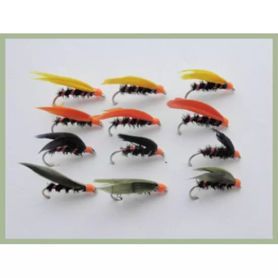 12 Wet Cormorant, Yellow, Olive, Black and Orange