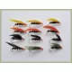 12 Wet Cormorant, Yellow, Olive, Black and Orange