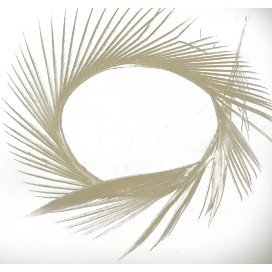 Semperfli Goose Biots