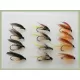 12 BARBLESS Wet Flies - Dunkeld, Invicta, Greenwell
