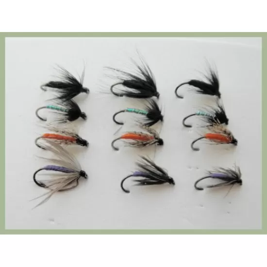 12 BARBLESS Wet Flies - Spider Patterns