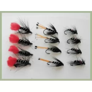 12 BARBLESS Wet Flies - Zulu, Bibio & Black Pennell