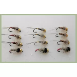 12 BARBLESS Goldhead Jigs - Gold Tag, HE Copper Rib, HE Red Tag, Cinnamon HE