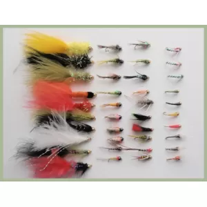 40 Cool Weather Flies