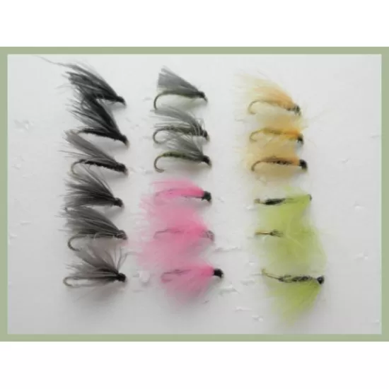 18 CDC F Fly - ALL COLOURS