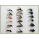18 Wet Flies- Spider Patterns inc Waterhen, Yellow and Dove & More