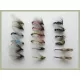 18 Mixed Emergers - All varieties