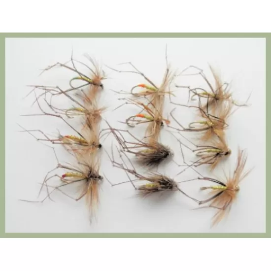 12 Mixed Daddy, Tipped, Muddler & Standard