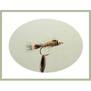 30 Mixed Goldhead Nymph - 5 Named Varieties