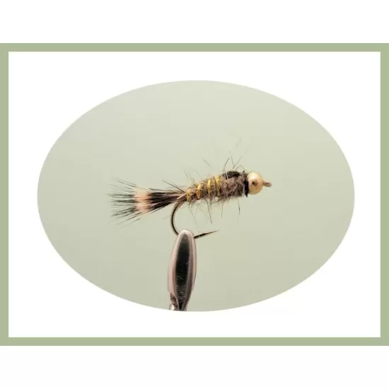 30 Mixed Goldhead Nymph - 5 Named Varieties